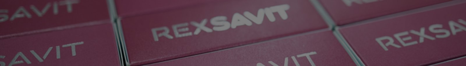 page banner rexsavit